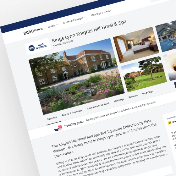 services-what-we-design-websites